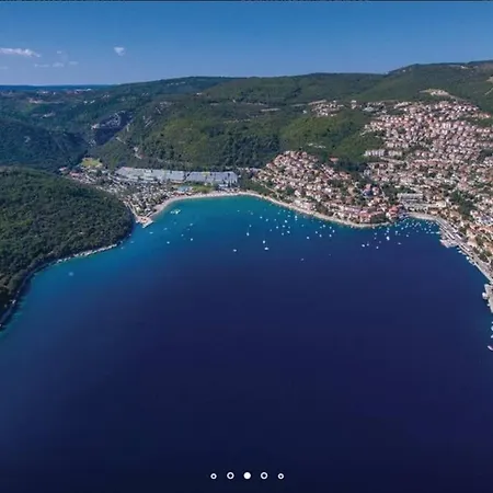 Apartment Comfortable In Bartici Labin (Istria)